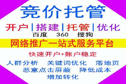 百度竞价包年服务：某行业领导品牌的成功故事
